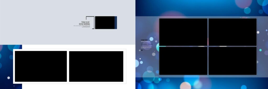 #2 - PREMIUM WEDDING ALBUM SHEETS