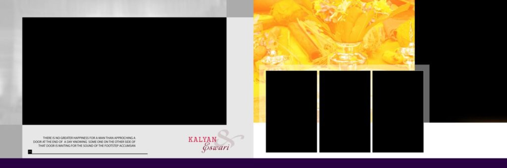 #2 - PREMIUM WEDDING ALBUM SHEETS