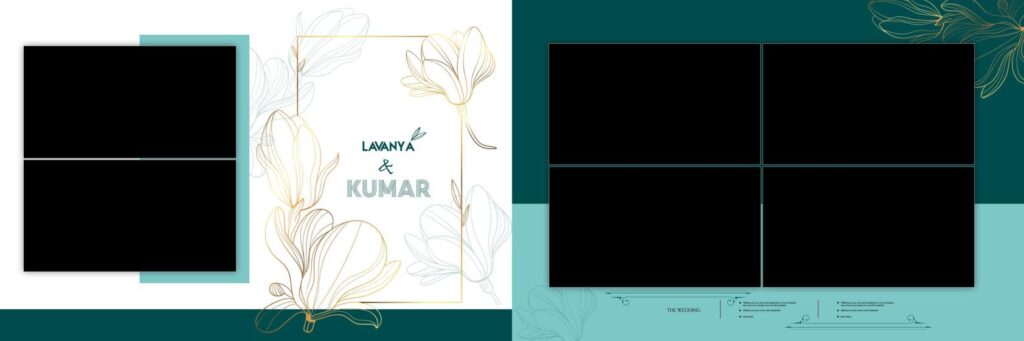 #2 - PREMIUM WEDDING ALBUM SHEETS