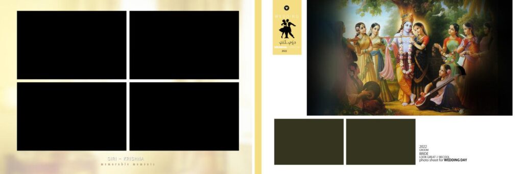 #5 - PREMIUM WEDDING ALBUM SHEETS