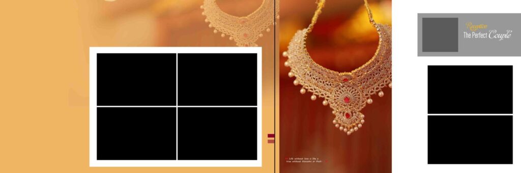 Vidhi Album PSD Collection &ndash; VOL 8