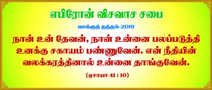 Kovil Flex Collection