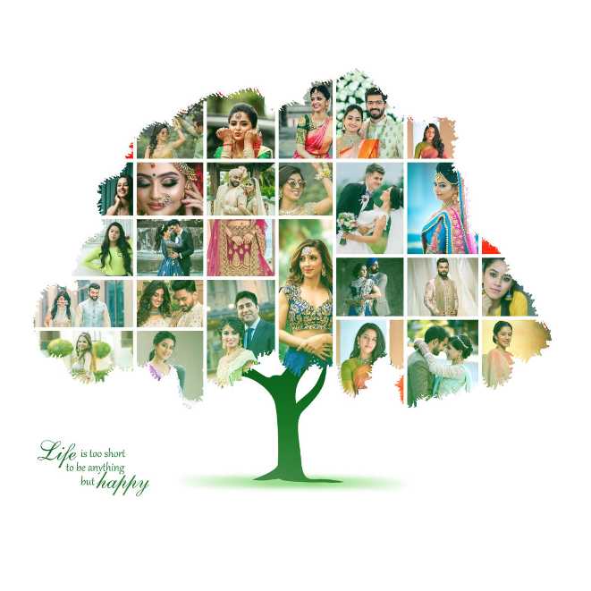 2024 - New Collage Pack - PART - 2