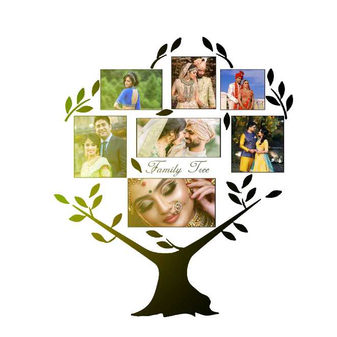 2024 - New Collage Pack - PART - 2