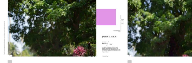 NEW ALBUM COLLECTION APRIL 2024 - 2
