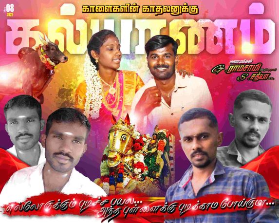 TAMILNADU DESIGNERS FLEX COLLECTIONS - 2