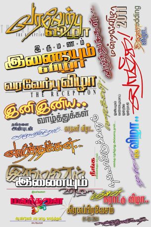 TAMILNADU DESIGNERS FLEX COLLECTIONS - 3