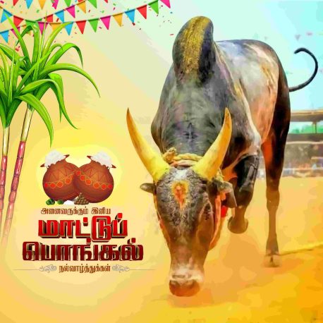 Pongal Wish Flex Banner PSD Collection