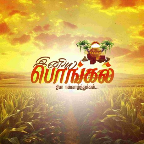 Pongal Wish Flex Banner PSD Collection