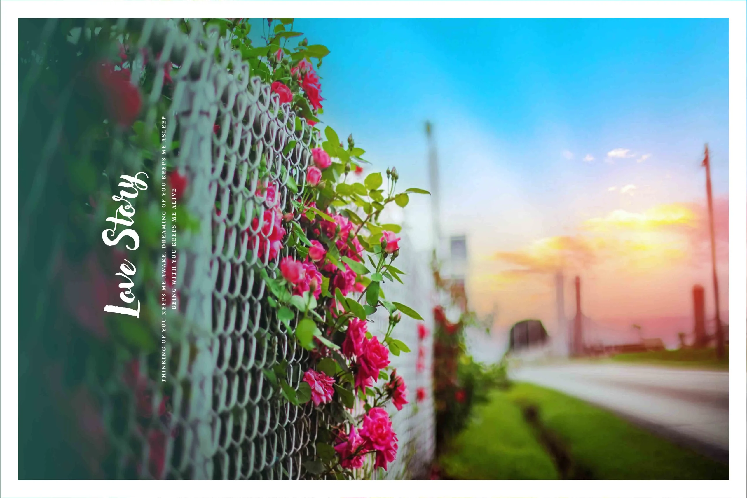 Wedding Album PSD