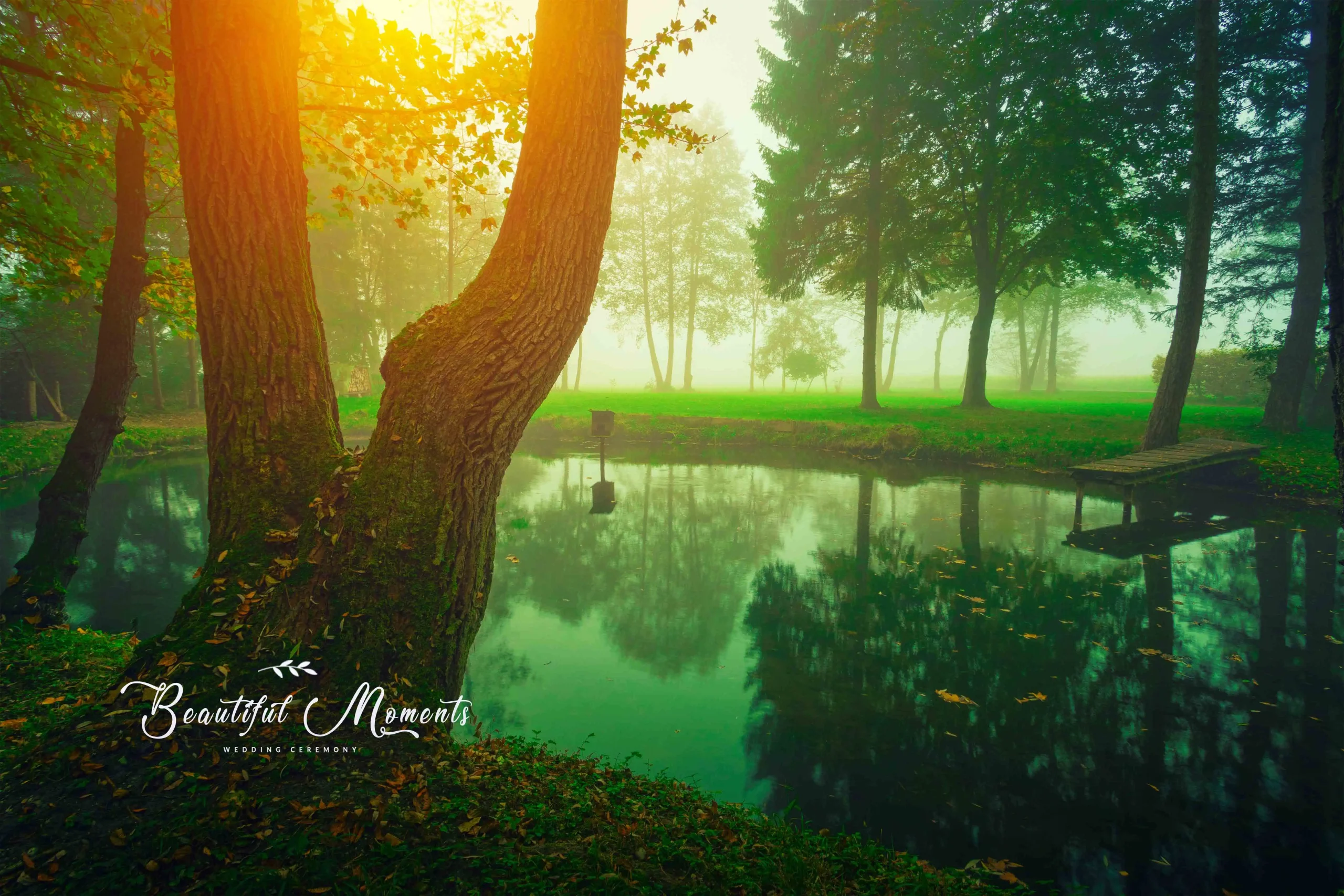 Wedding Album PSD