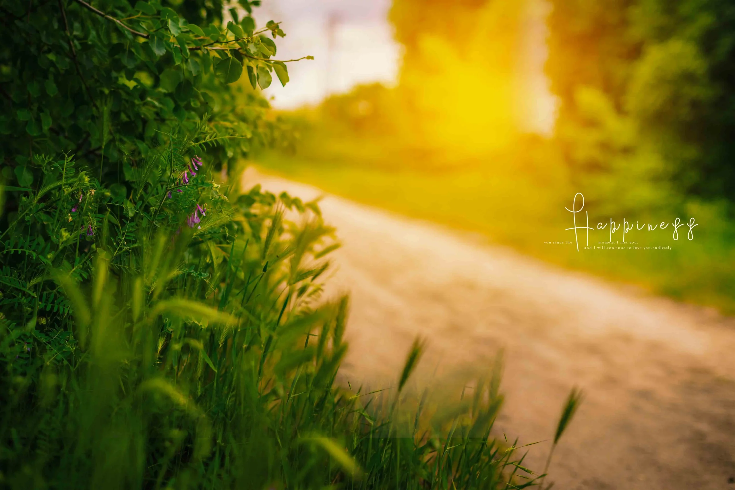 Wedding Album PSD