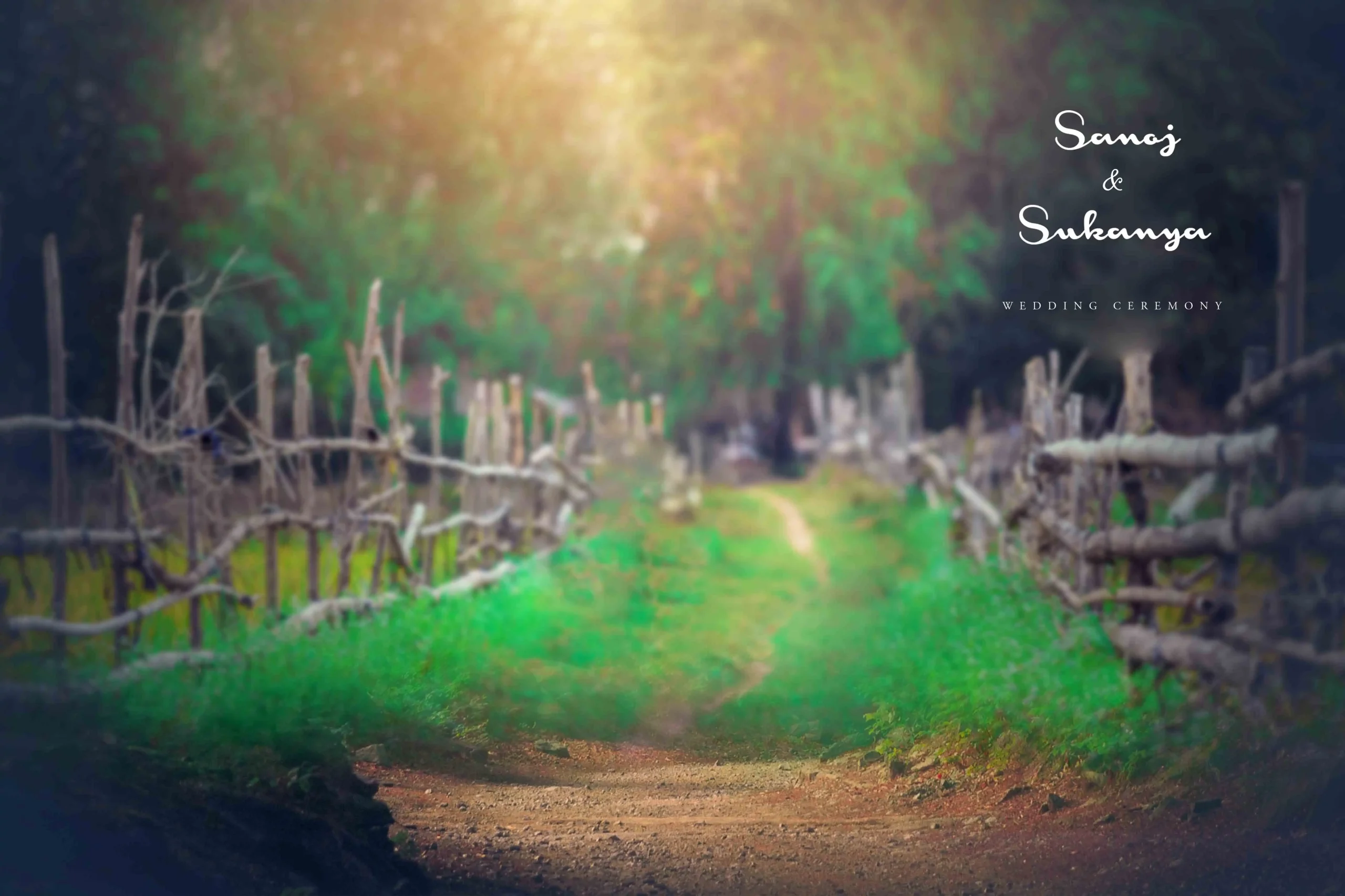 Wedding Album PSD