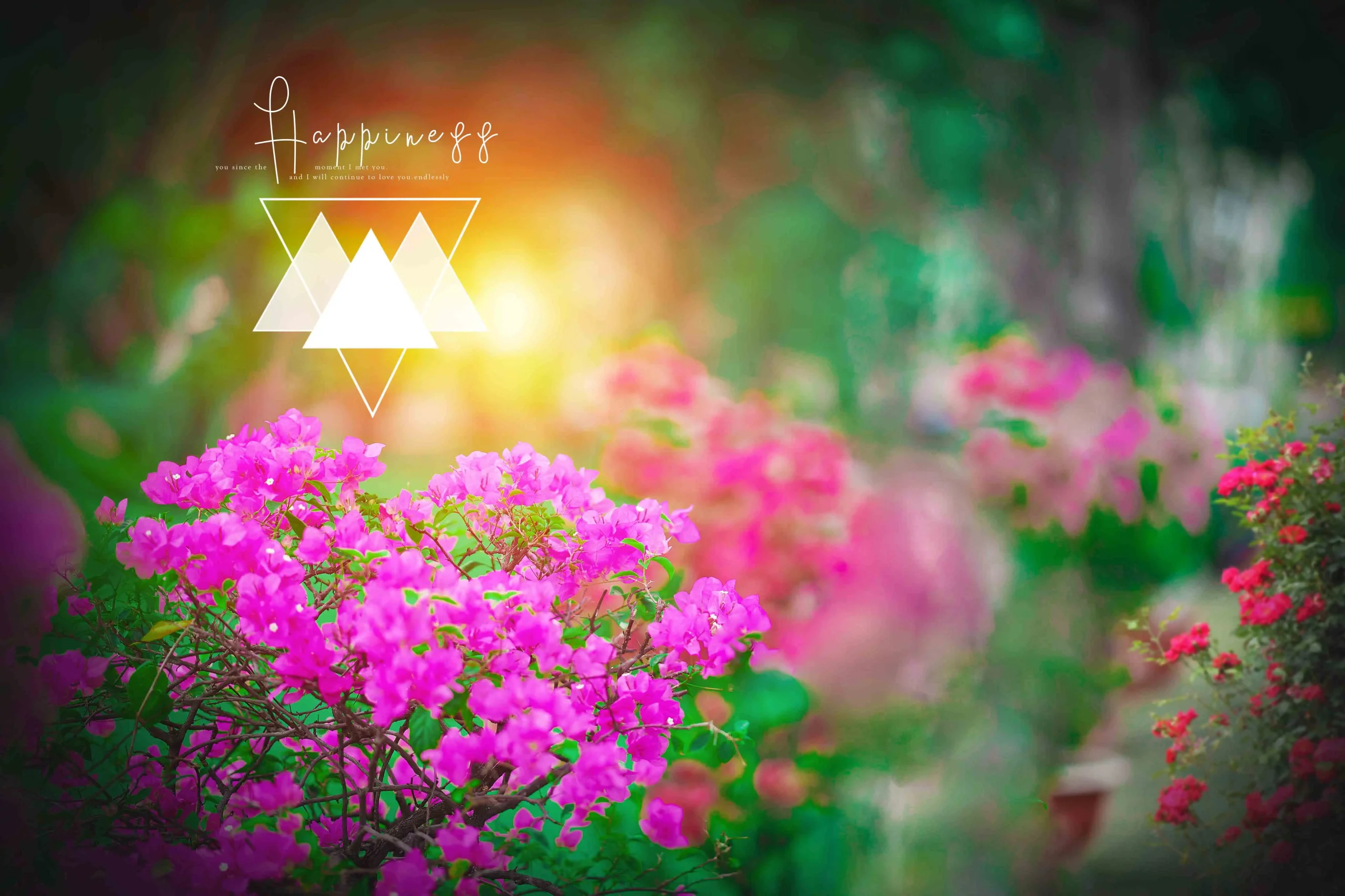 Wedding Album PSD