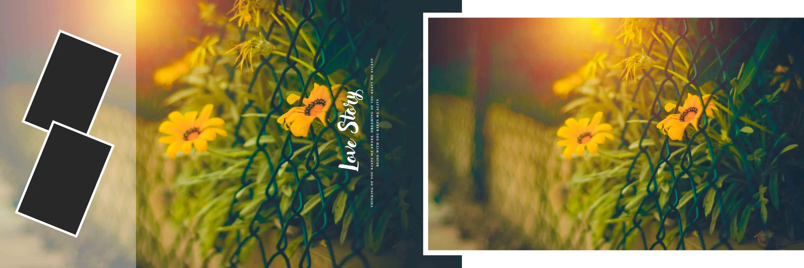 Wedding Album PSD