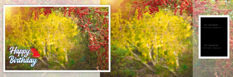Birthday Album Photoshop Design