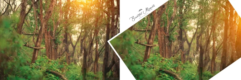 Wedding Album PSD