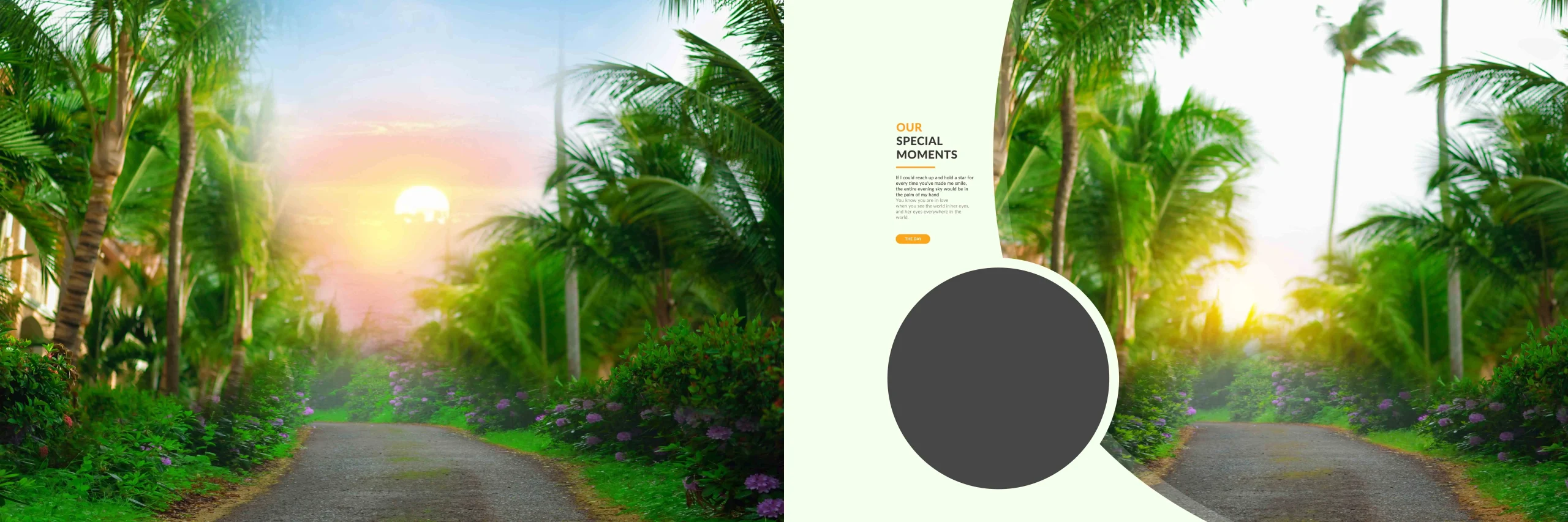 Wedding Album PSD
