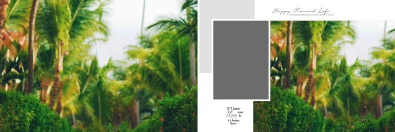 Wedding album design