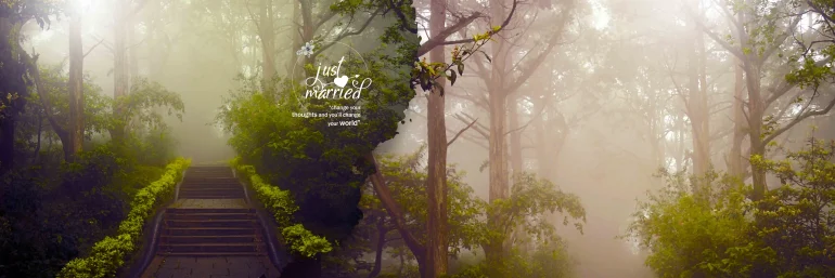 Wedding album design