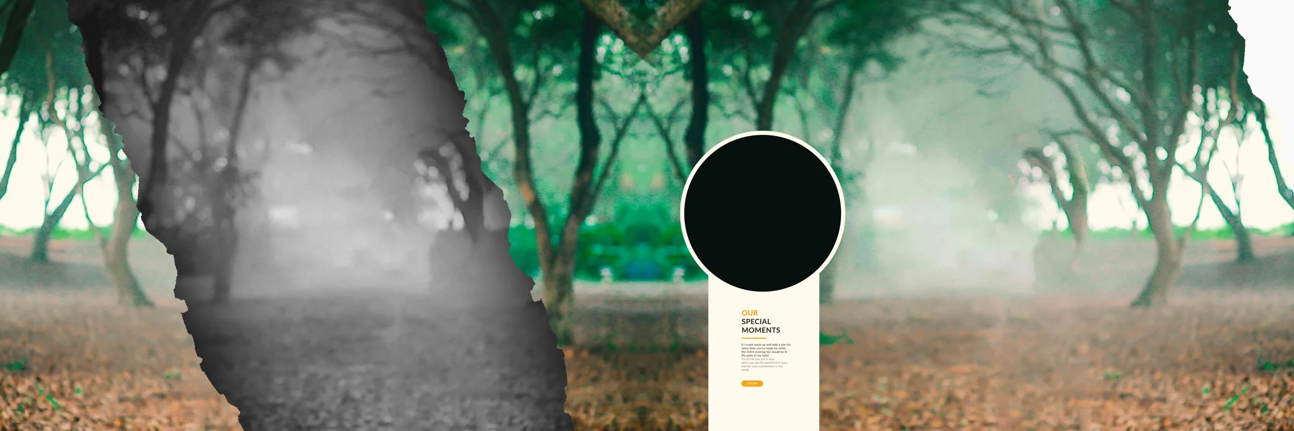 Wedding Album PSD