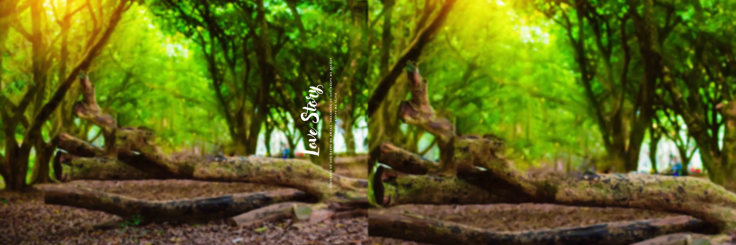 Wedding Album PSD