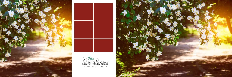 Wedding album design