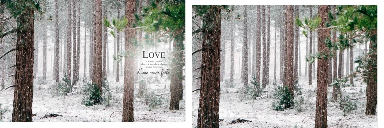 Wedding album design