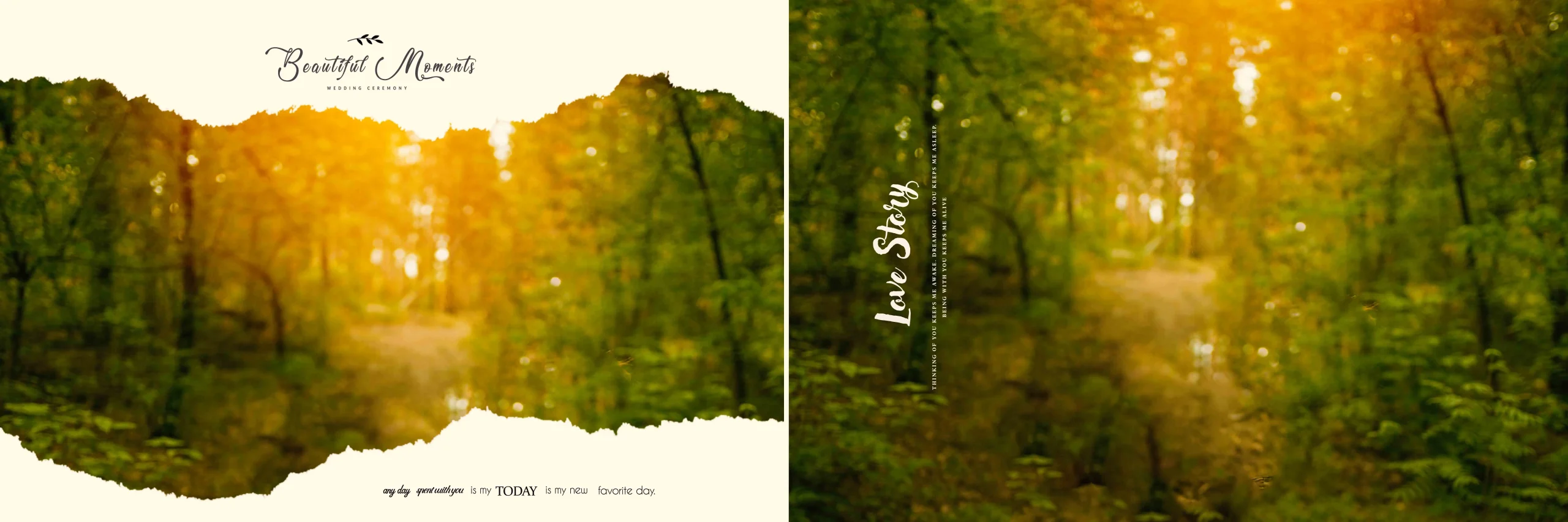 Wedding Album PSD