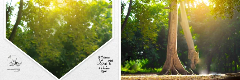 Wedding album design