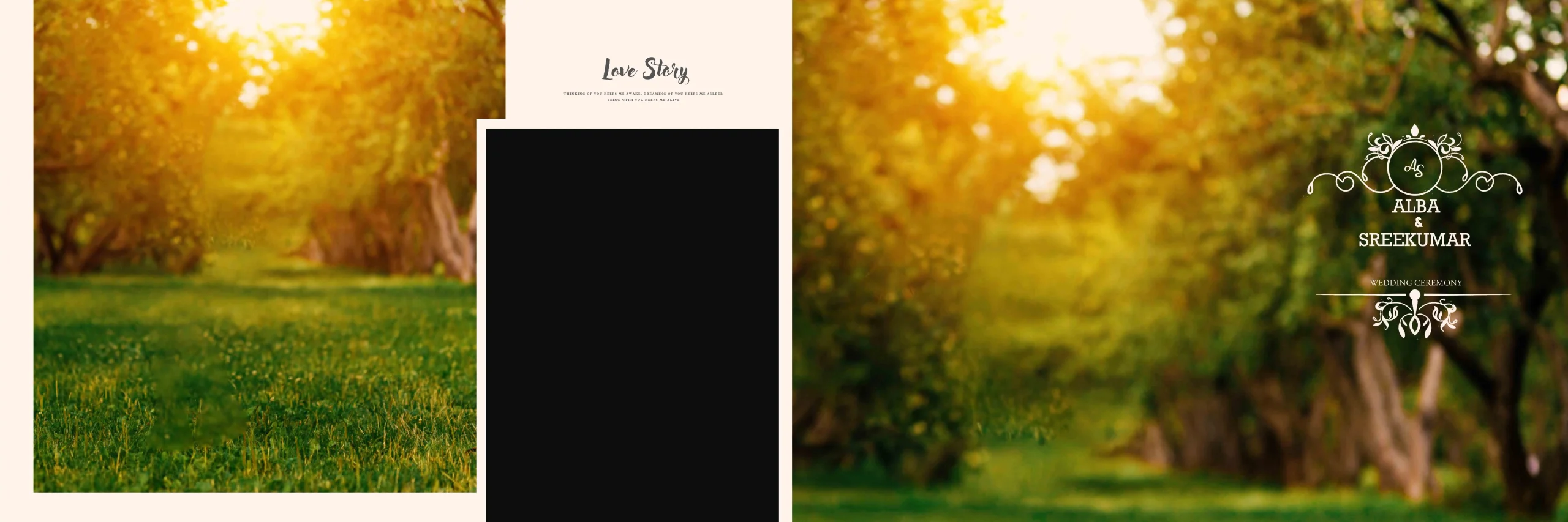 Wedding Album PSD