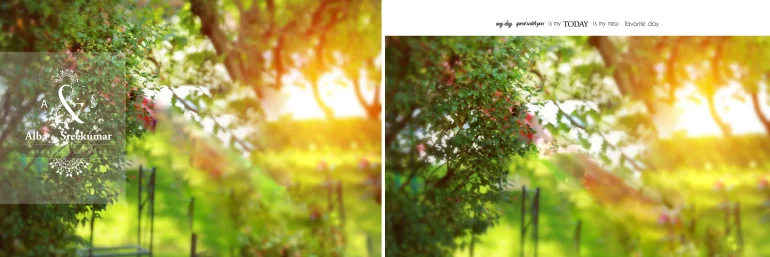 Wedding Album PSD