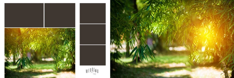 Wedding album design