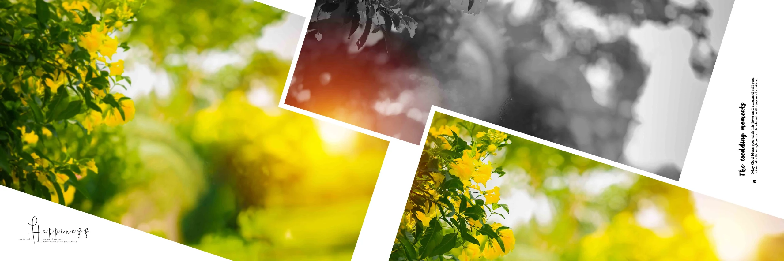 Wedding Album PSD
