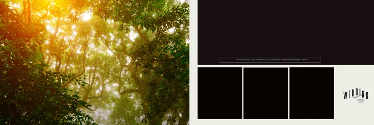 Wedding album design