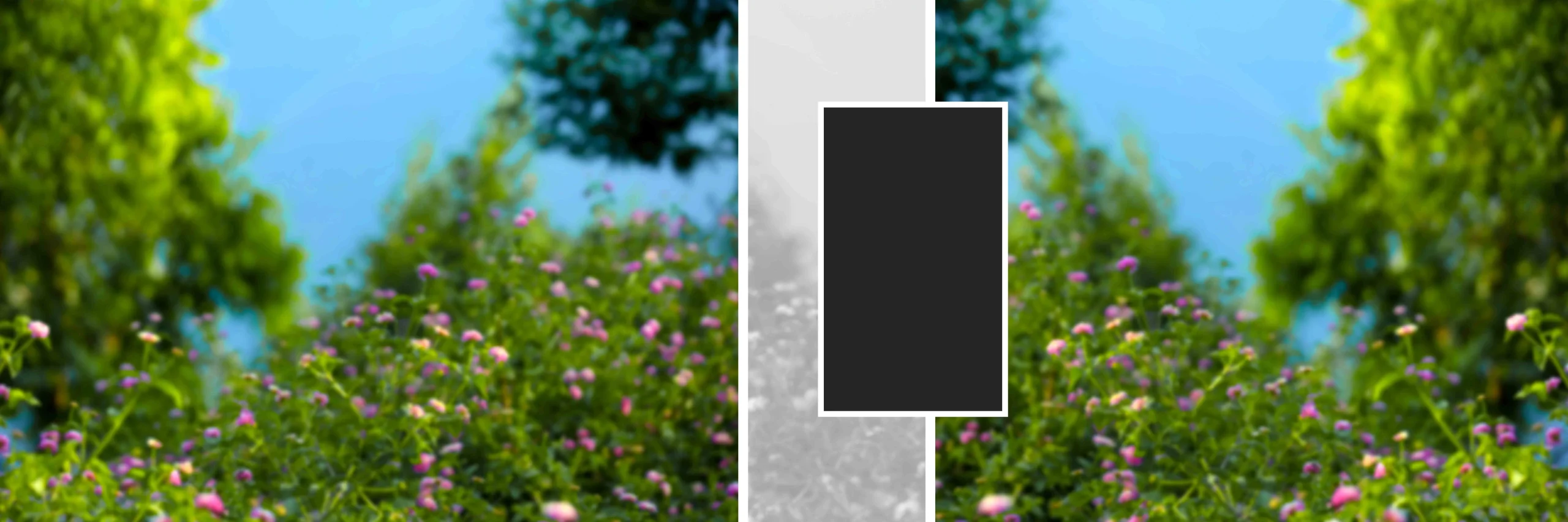 Wedding Album PSD