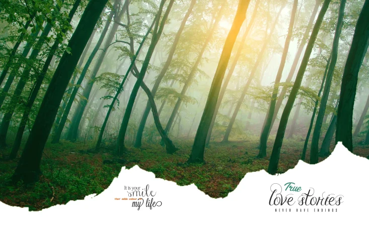 Wedding Album Photoshop Design