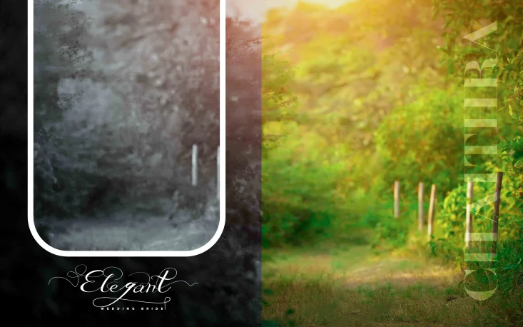 Wedding Album Photoshop Design
