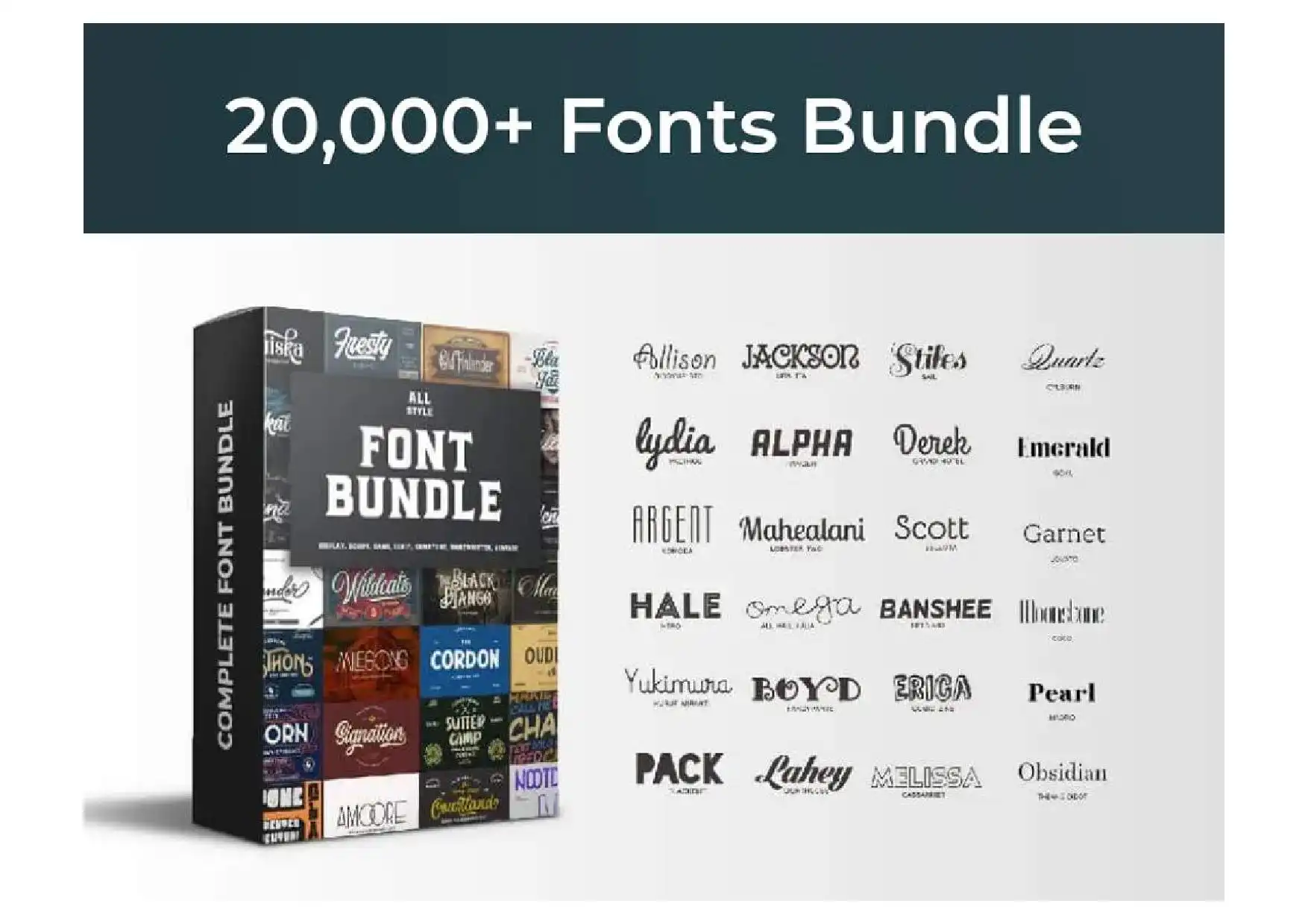 Photography & Photo Editing Bundle