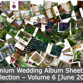 Premium Wedding Album Sheet PSD Collection – Volume 6 [June 2025]