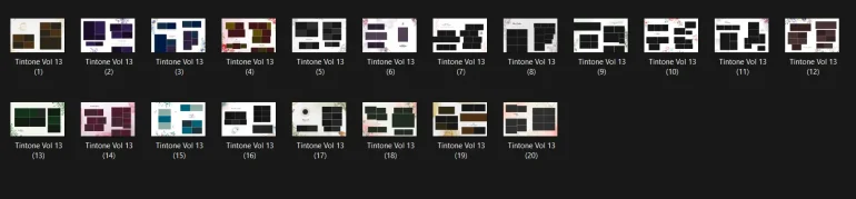 Tintone Mega Sale Wedding Album Design Pack