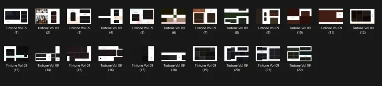 Tintone Mega Sale Wedding Album Design Pack