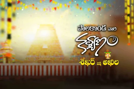 Telugu Wedding Flex