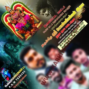 Madurai Style Flex