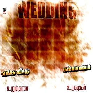 Madurai Style Flex