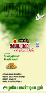 Madurai Style Flex