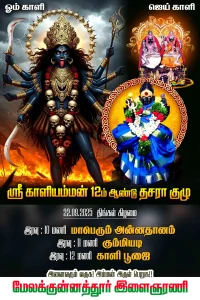 Madurai Style Flex