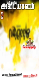 Madurai Style Flex