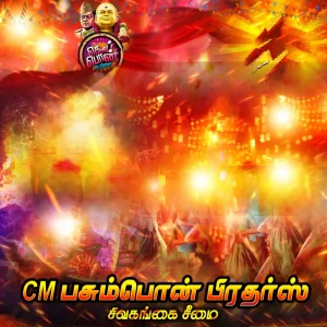 Madurai Style Flex Design Collection