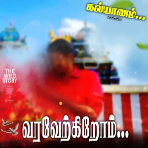 Madurai Style Flex Design Collection